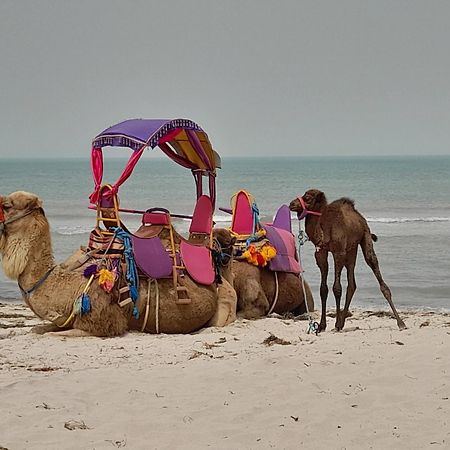 Hotel Dar El Kahina Djerba Mezraia Exteriér fotografie