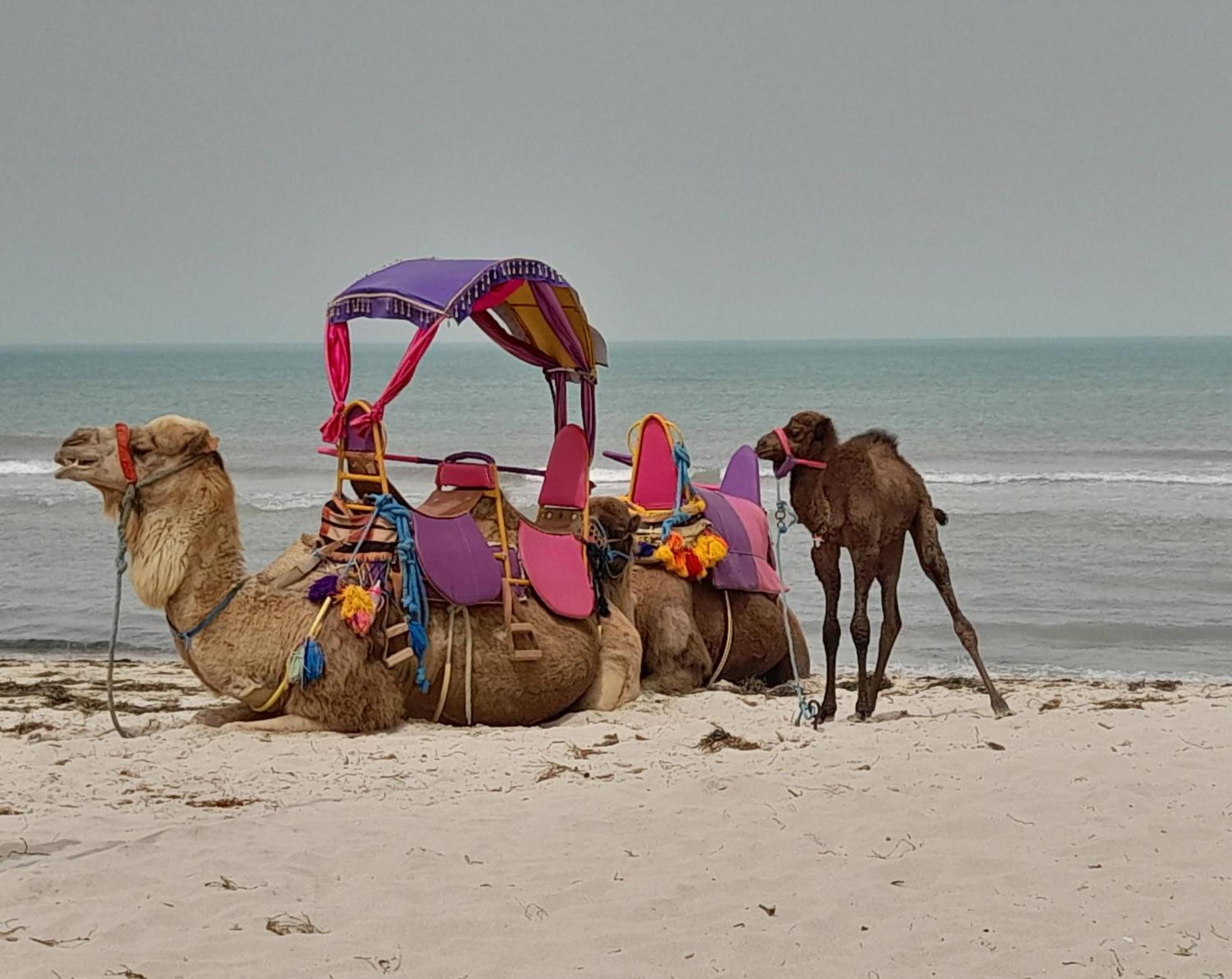 Hotel Dar El Kahina Djerba Mezraia Exteriér fotografie