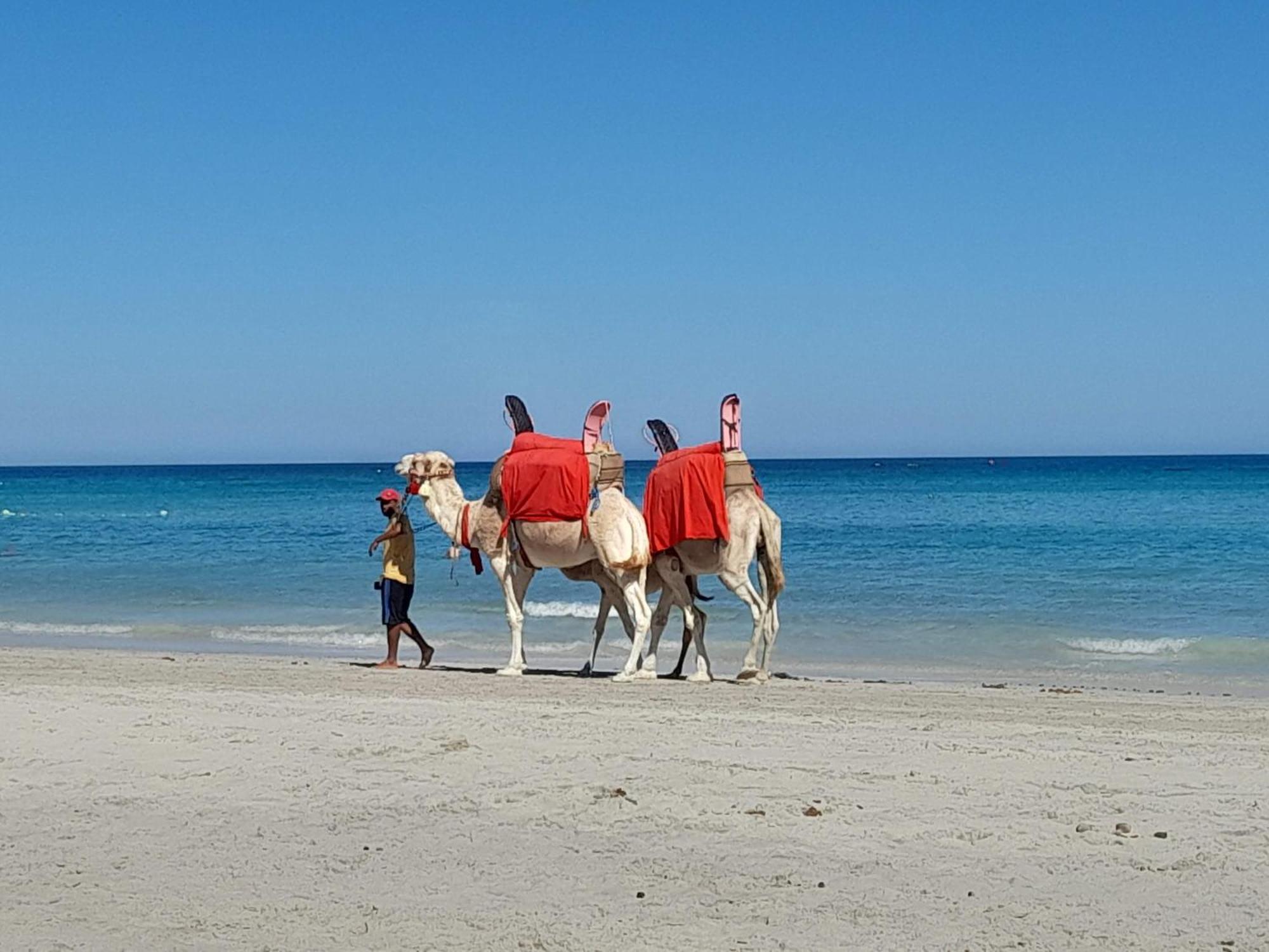 Hotel Dar El Kahina Djerba Mezraia Exteriér fotografie